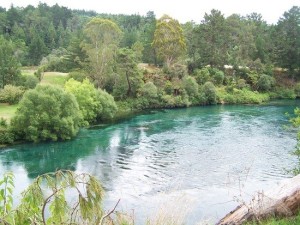 scenery-along-the-walk-how-blue-is-the-water-tokoroa