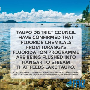 Lake Taupo Poster