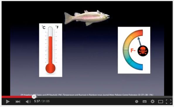 Fluoridation and the Environment