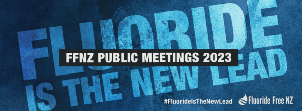 The-New-Lead_Banner_Home-page