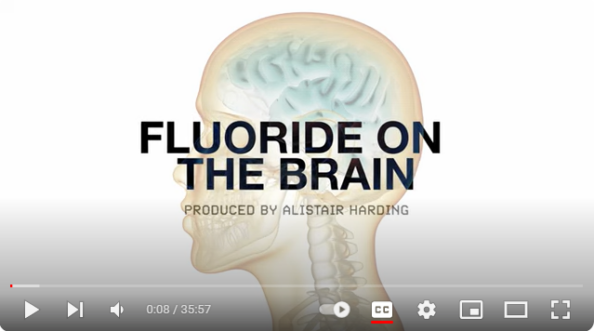 Fluoride on the Brain screen shot RCR fluoride on the brain