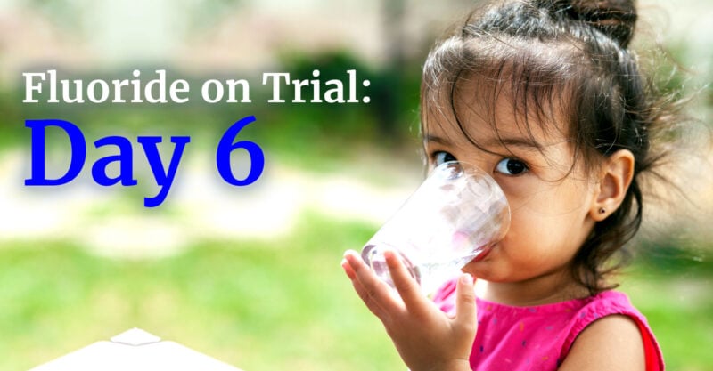 Fluoride on Trial Childrens Health Defence
