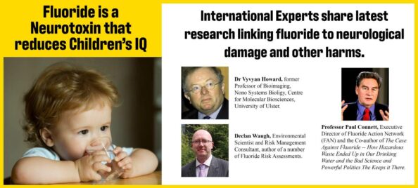 3 experts_small_rectangle_01