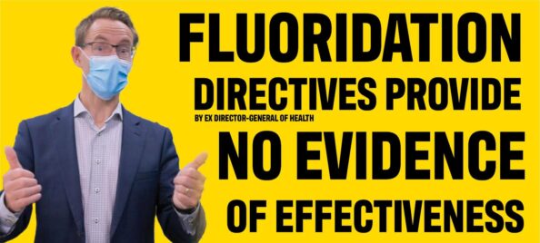 Bloomfield directives rectangle