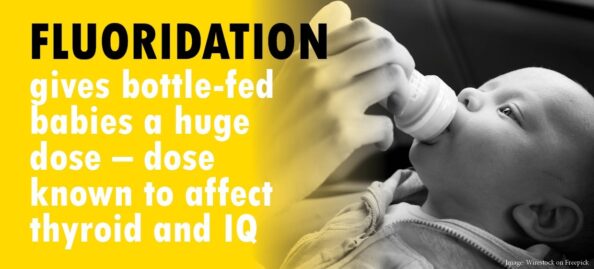 Bottle fed baby rectangle.jpg