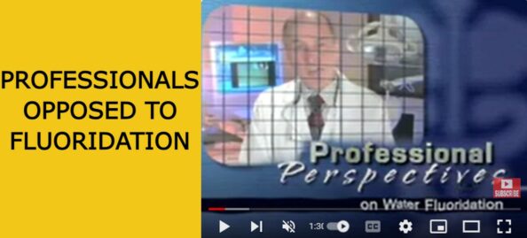 Professional Perspectives with text