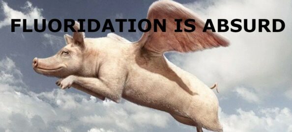 absurd text across the top