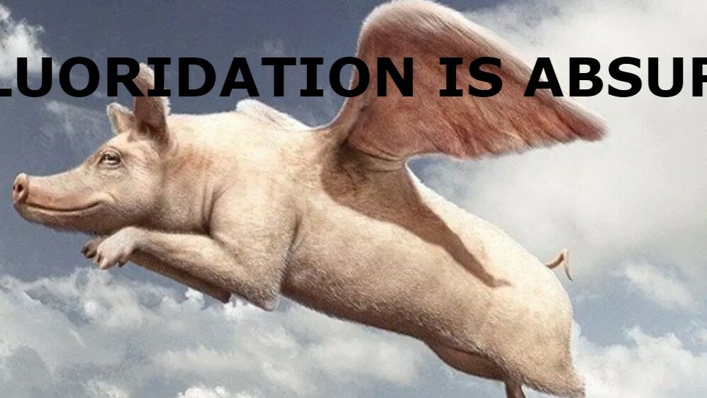 absurd text across the top