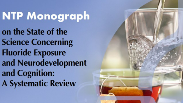 NTP website banner